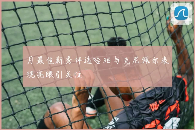 月最佳新秀评选哈珀与克尼佩尔表现亮眼引关注